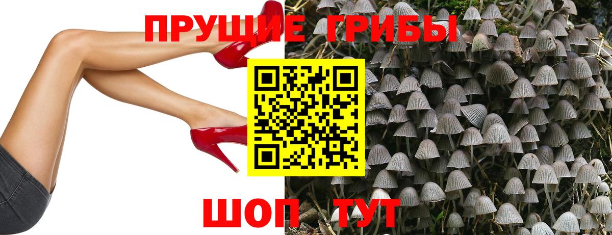 Галлюциногенные грибы Psilocybe  Псилоцибиновые грибы GOLDEN TEACHER  Альметьевск  Вход с VPN 
